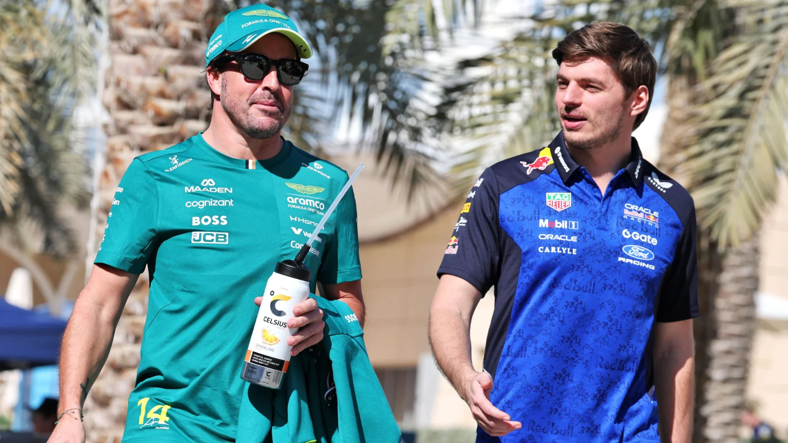 Max Verstappen has weighed in on Fernando Alonso